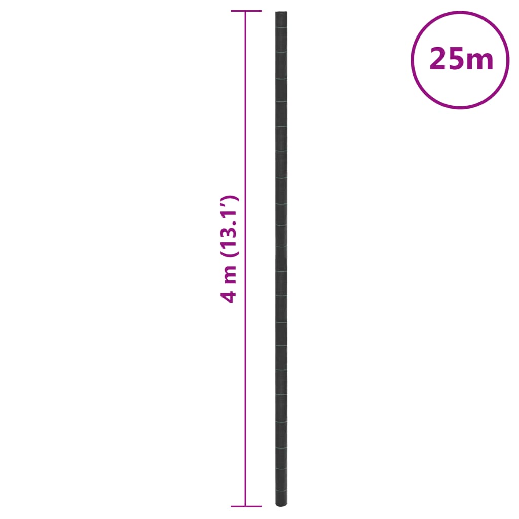 Worteldoek 4X25 M Polypropeen Zwart
