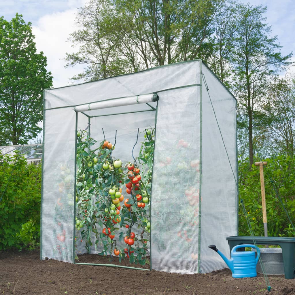 Nature Tomatenkas