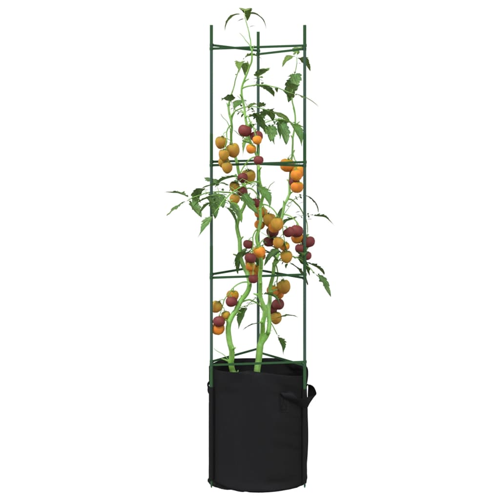 Tomatenkooien Met Plantenzak Staal En Polypropeen