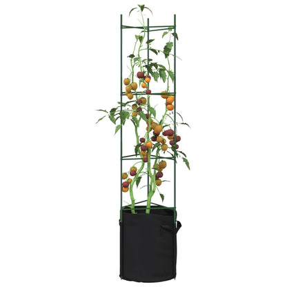Tomatenkooien Met Plantenzak Staal En Polypropeen