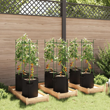 Tomatenkooien Met Plantenzak Staal En Polypropeen
