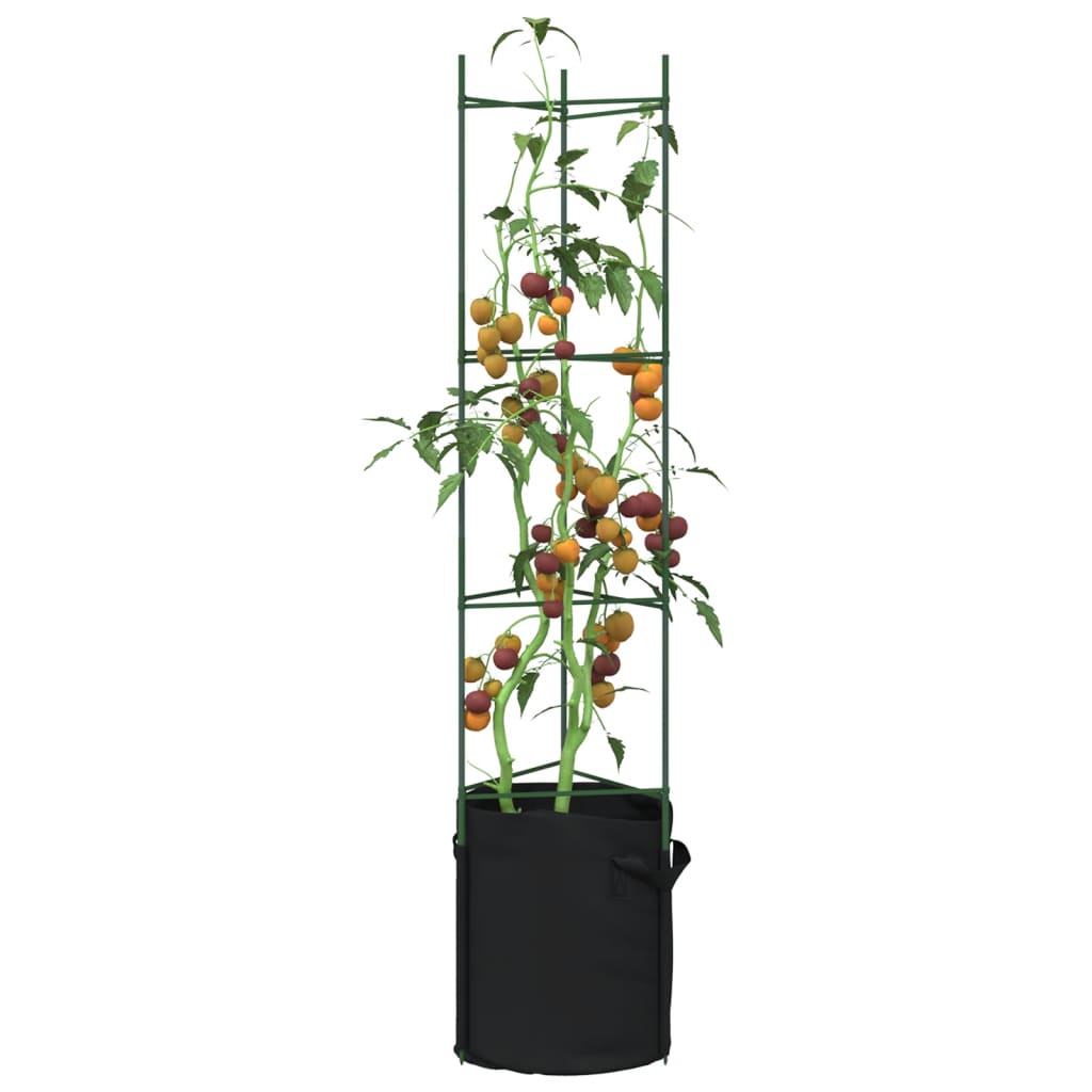 Tomatenkooien Met Plantenzak Staal En Polypropeen